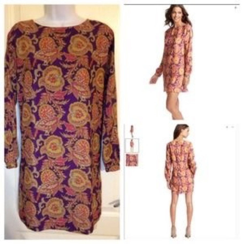 Ann Taylor Loft Paisley Dress